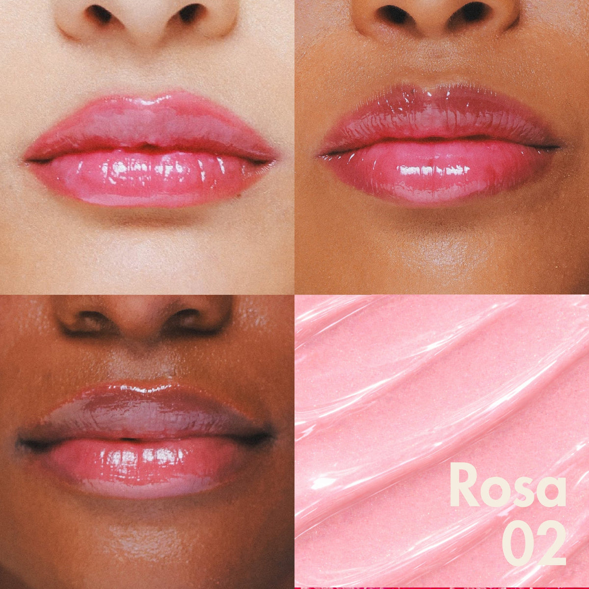Rosa.02