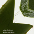 Agua Fresca — Cooling & Smoothing Eye Cream with Aloe & Guayusa