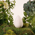 New Beautyblender® Bio Pure Makeup Sponge