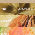 Guava Travel Kit
