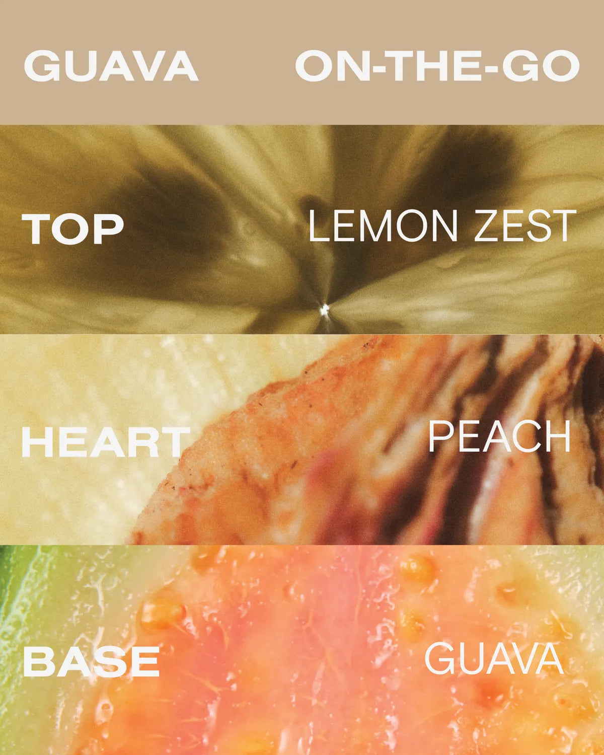 Guava Travel Kit
