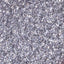 Life - Metallic Cool Grey with Silver Shimmer