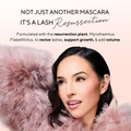 Mascara