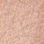 Truth - Metallic Rose Nude with Silver Sparkle